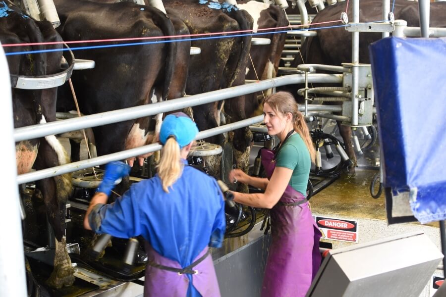 Shorthanded on the farm? Ag Work has the people you need